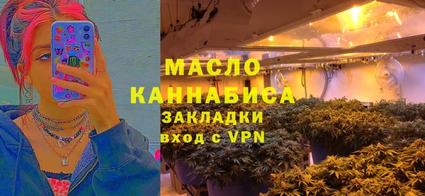 гашик Верея