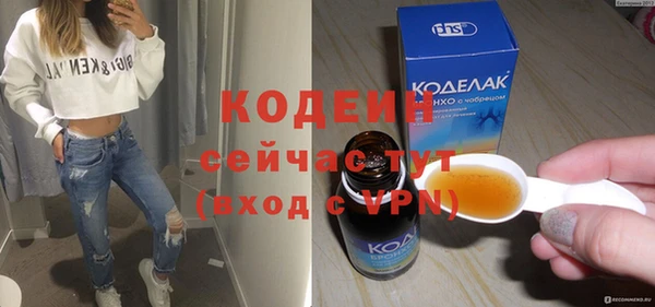 гашик Верея
