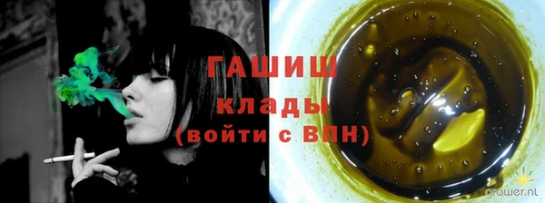 гашик Верея