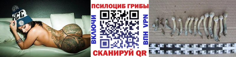 Галлюциногенные грибы прущие грибы  площадка как зайти  Неман 